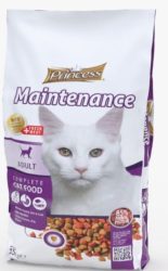 פרינסס – MAINTENANCE