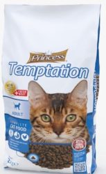 פרינסס – TEMPTATION